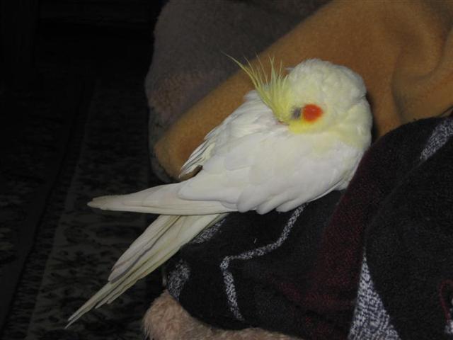 18.12.2005. 012.jpg